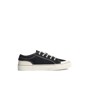 Sperry Astor Sneaker Black | HLJTIB-013