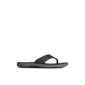 Sperry Baitfish Leather Flip Flop Black | OVFJEY-195