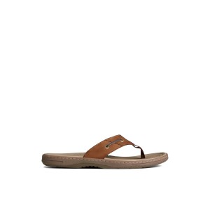 Sperry Baitfish Leather Flip Flop Brown | PBYKOW-347