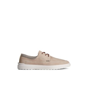 Sperry Cabo II Oxford Beige | EGHAKS-173