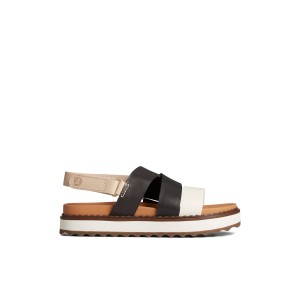 Sperry Cami Flatform Sandal Brown / Multicolor | WYZRPD-065