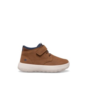 Sperry Coastal Break Chukka Beige | AUPDYE-842