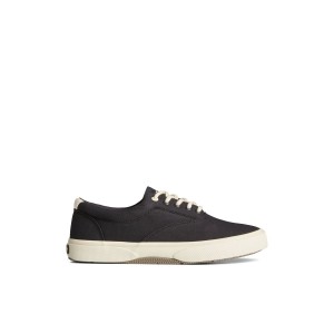 Sperry Halyard CVO Sneaker Black | WMYPSD-814