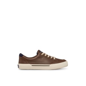 Sperry Harbor Tide Sneaker Brown | JDXIYA-967