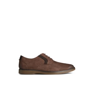 Sperry Newman Oxford Dress Shoe Brown | LCQOUV-563