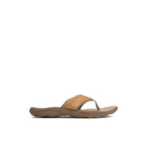 Sperry Outer Banks Flip Flop Beige | EZLMKR-304