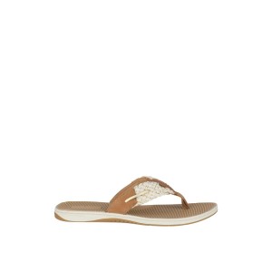 Sperry Parrotfish Braid Sandal Beige | SNBXUJ-756