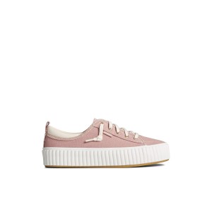 Sperry Pier Wave Platform Lace Up Sneaker Dark Pink | ODBQFL-347