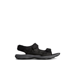 Sperry Rivington Sandal Black | VYSULZ-564