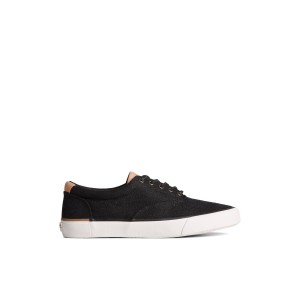 Sperry SeaCycled Striper II CVO Baja Sneaker Black | HLCWTR-062