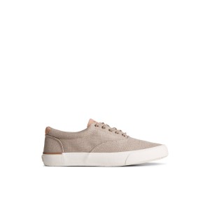 Sperry SeaCycled Striper II CVO Baja Sneaker Beige | JLQVUB-149