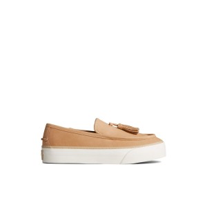 Sperry Sea Sailor Platform Sneaker Beige | KEDRVM-304