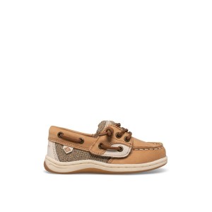 Sperry Songfish Junior Boat Shoe Brown | VCBTWZ-968