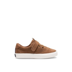 Sperry Spinnaker Junior Washable Sneaker Beige | EQUXGB-526