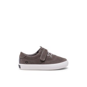 Sperry Spinnaker Junior Washable Sneaker Grey | GDSYQA-642