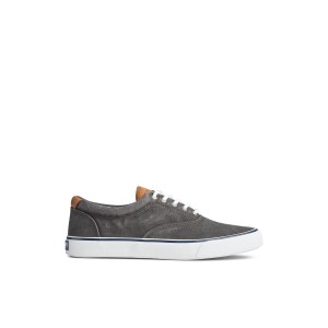 Sperry Striper II CVO Sneaker Black | HZAKDE-013