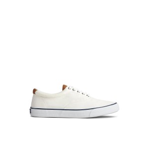 Sperry Striper II CVO Sneaker White | QUDXGH-089