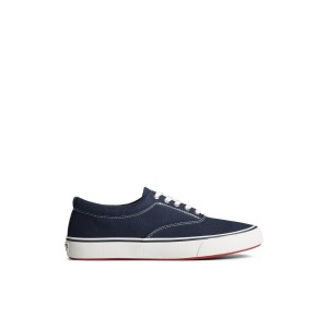 Sperry Striper II Canvas CVO Sneaker Navy | OCYXWR-592