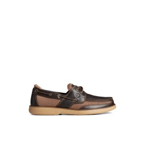 Sperry Surveyor 2-Eye Boat Shoe Dark Brown | QGDNYX-893