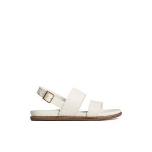 Sperry Waveside PLUSHWAVE Backstrap Sandal Beige | OHUBAF-241