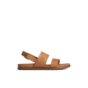 Sperry Waveside PLUSHWAVE Backstrap Sandal Beige | AMDCYV-603