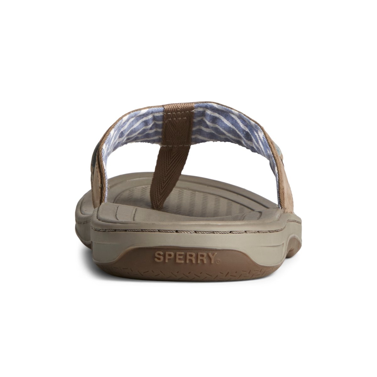 Sperry Baitfish Leather Flip Flop Beige | XNTZMY-369