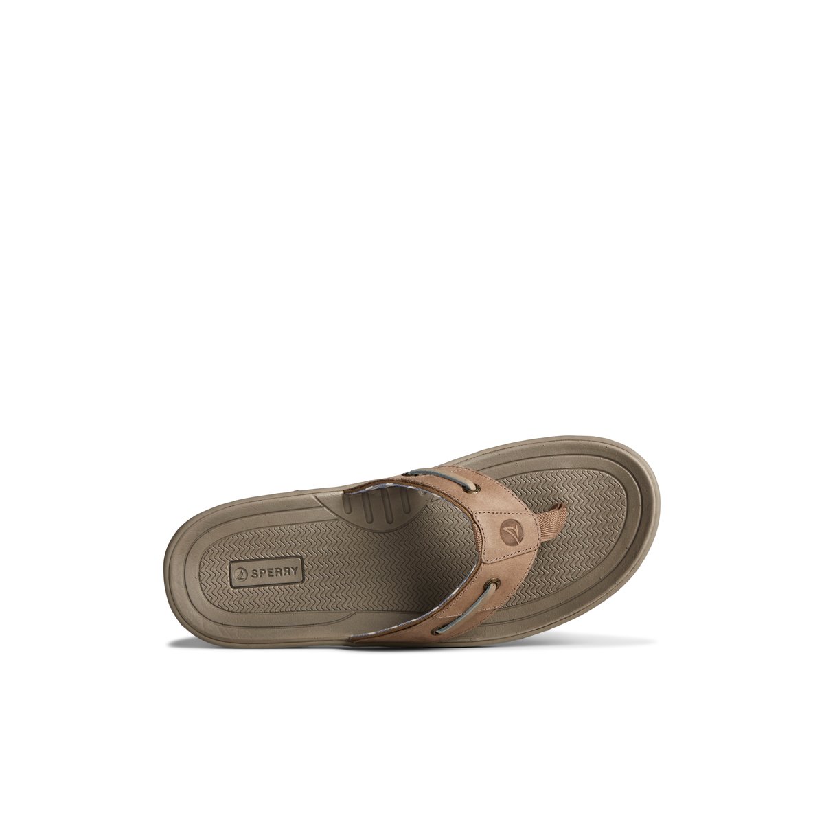 Sperry Baitfish Leather Flip Flop Beige | XNTZMY-369