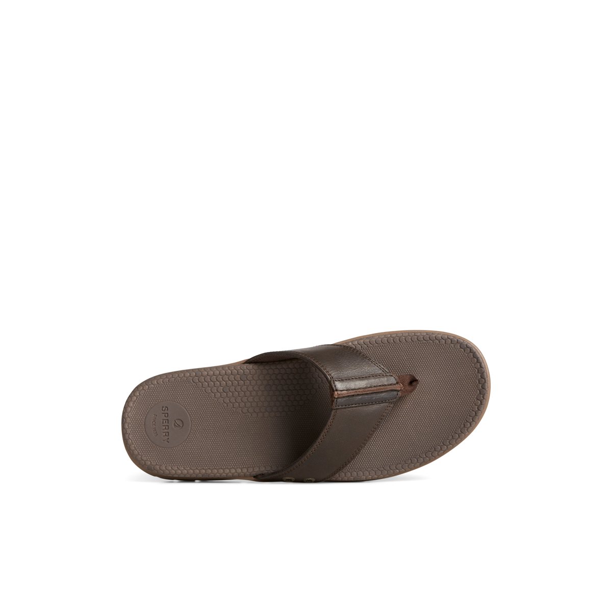 Sperry Santa Cruz II Thong Sandal Brown | LDRVTO-528