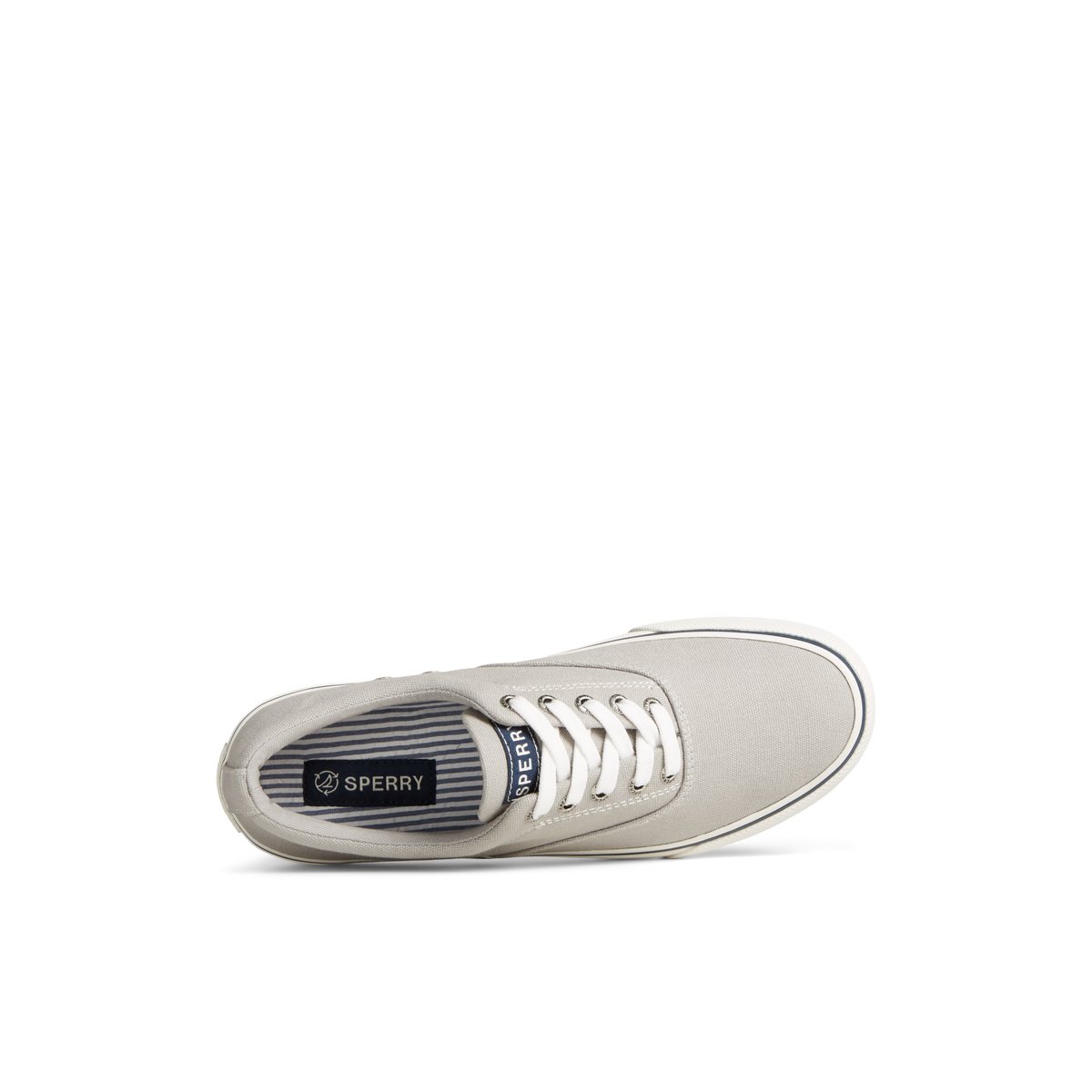 Sperry Striper II Canvas CVO Sneaker Grey | MJSCUY-067